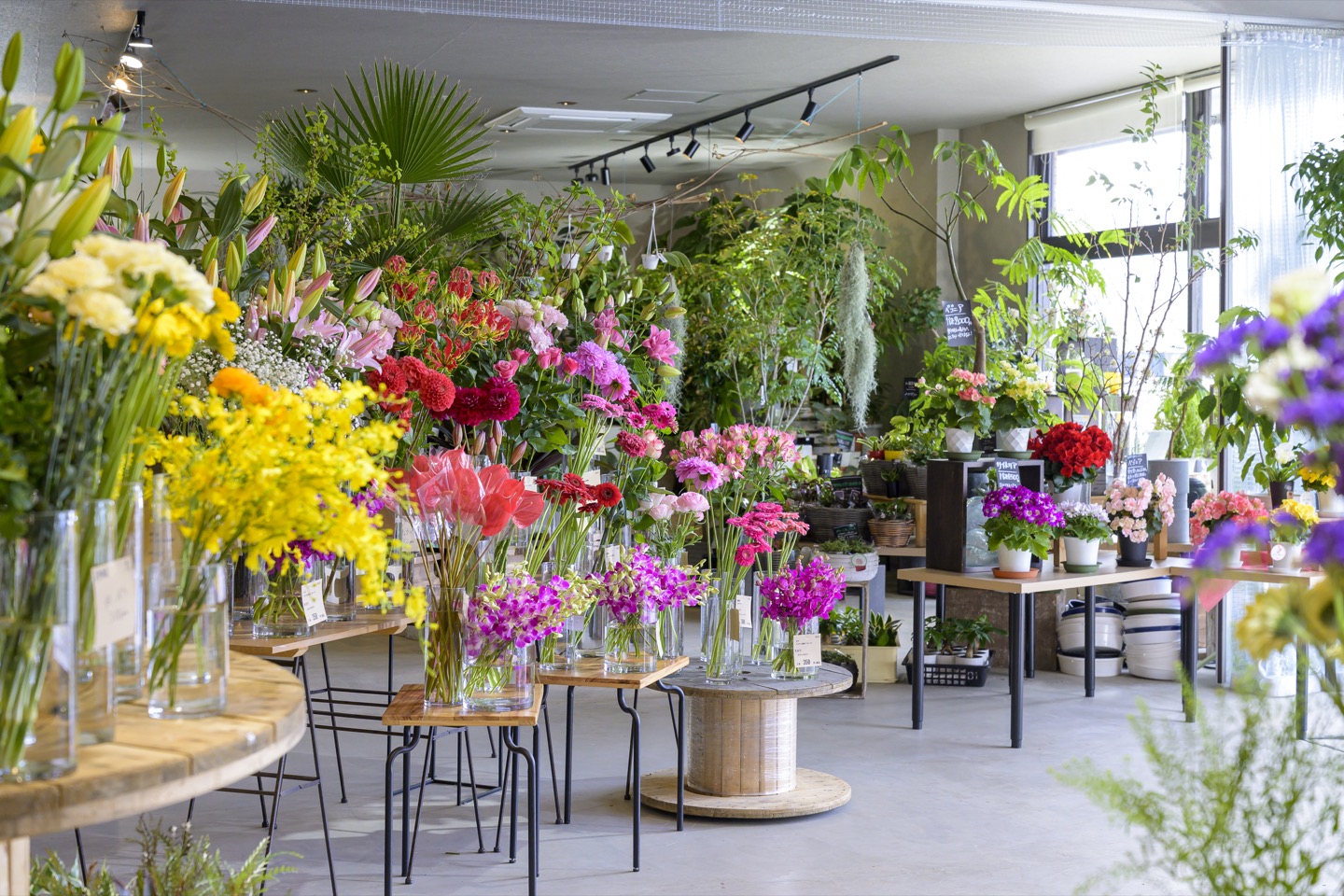 色とりどりの花が並ぶ花屋の店内